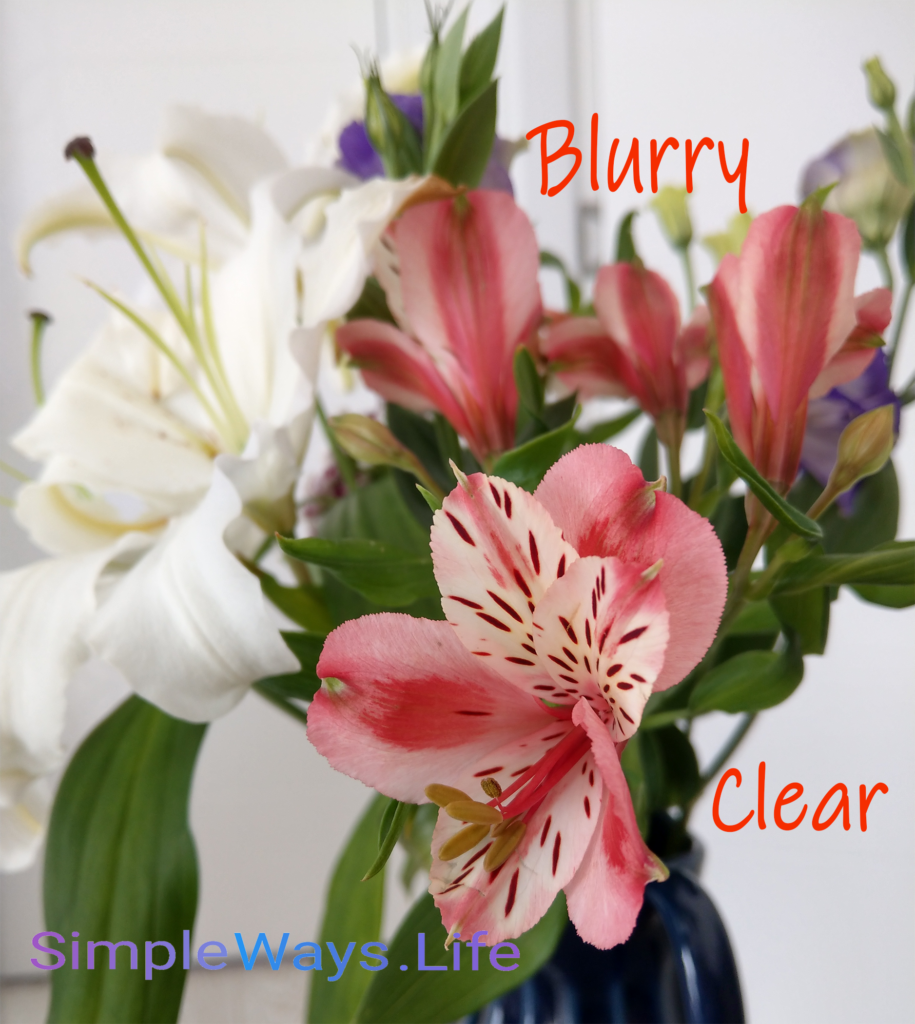 clear-vs-blurry-flowers